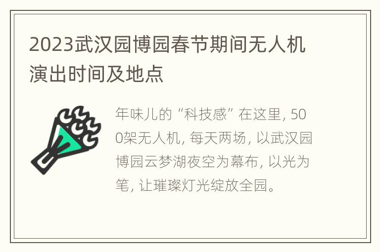 2023武汉园博园春节期间无人机演出时间及地点