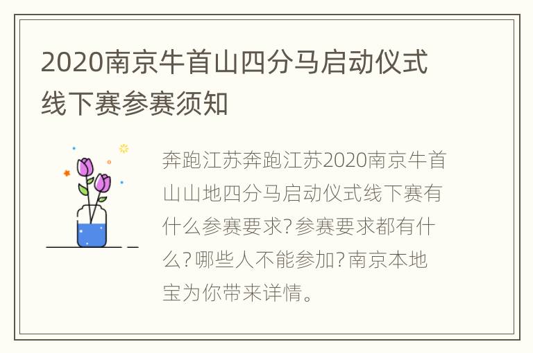 2020南京牛首山四分马启动仪式线下赛参赛须知