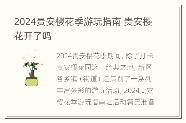 2024贵安樱花季游玩指南 贵安樱花开了吗