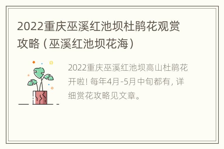 2022重庆巫溪红池坝杜鹃花观赏攻略（巫溪红池坝花海）