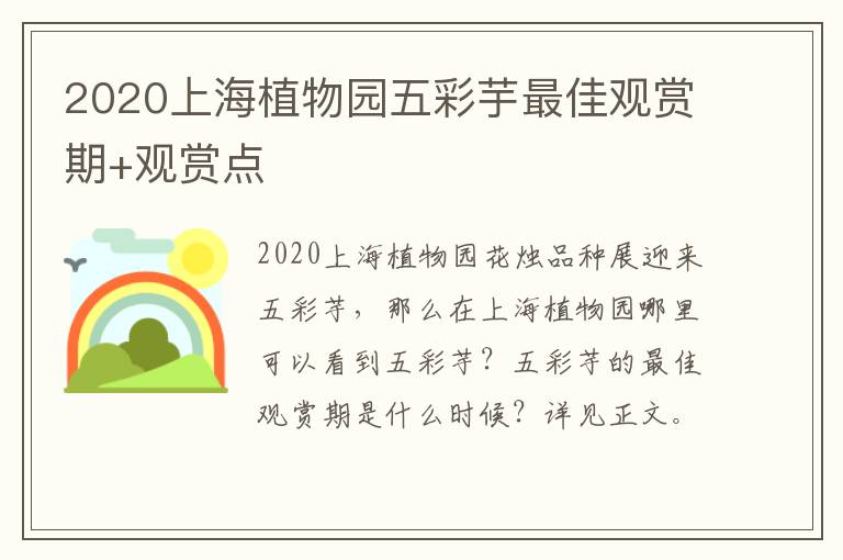 2020上海植物园五彩芋最佳观赏期+观赏点