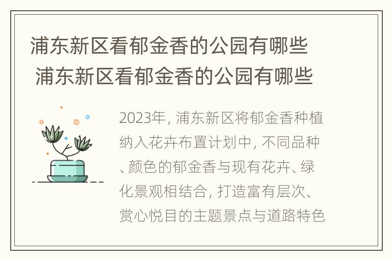 浦东新区看郁金香的公园有哪些 浦东新区看郁金香的公园有哪些地方