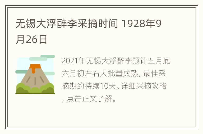 无锡大浮醉李采摘时间 1928年9月26日