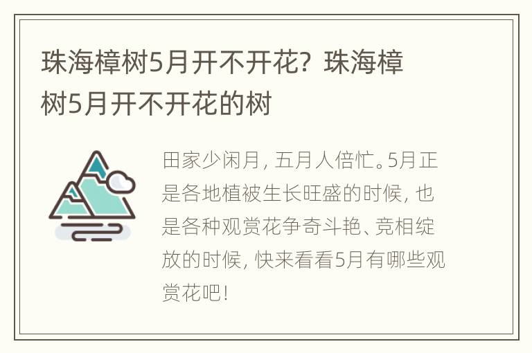 珠海樟树5月开不开花？ 珠海樟树5月开不开花的树