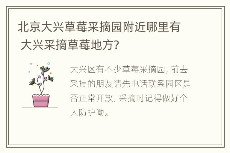 北京大兴草莓采摘园附近哪里有 大兴采摘草莓地方?