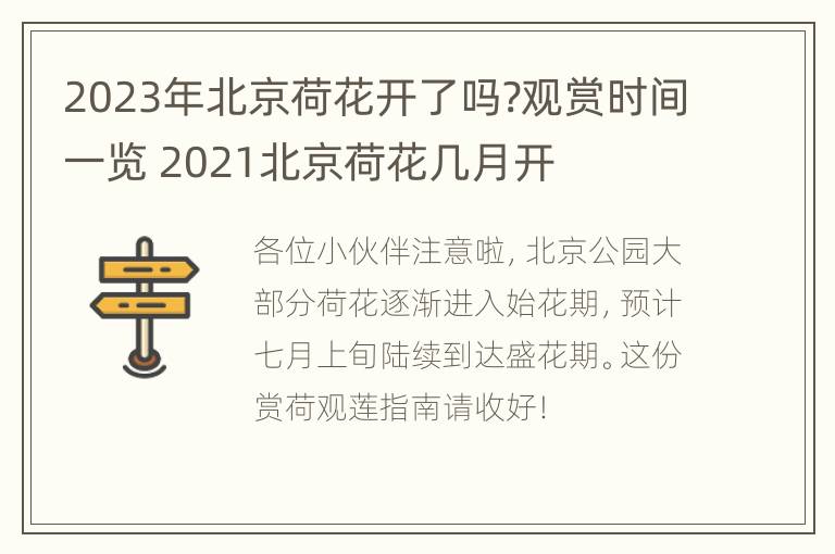 2023年北京荷花开了吗?观赏时间一览 2021北京荷花几月开