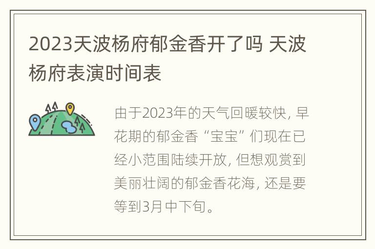 2023天波杨府郁金香开了吗 天波杨府表演时间表