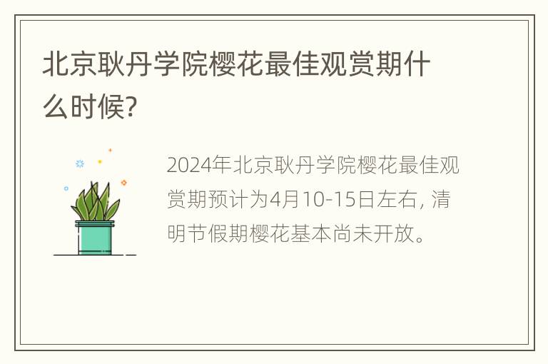 北京耿丹学院樱花最佳观赏期什么时候?