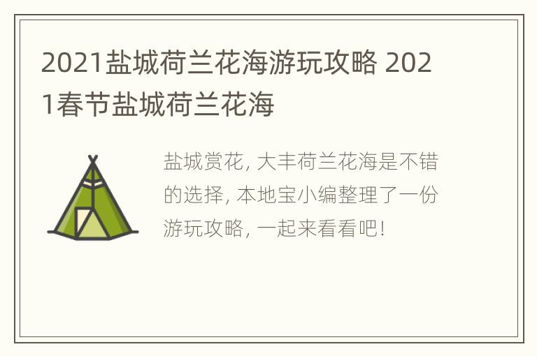 2021盐城荷兰花海游玩攻略 2021春节盐城荷兰花海