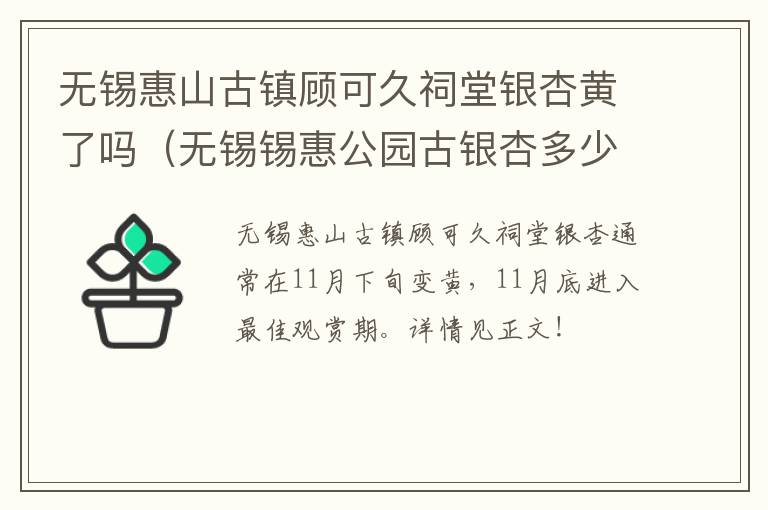 无锡惠山古镇顾可久祠堂银杏黄了吗（无锡锡惠公园古银杏多少年了?）