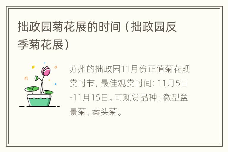 拙政园菊花展的时间（拙政园反季菊花展）