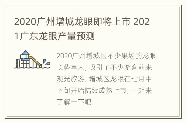 2020广州增城龙眼即将上市 2021广东龙眼产量预测