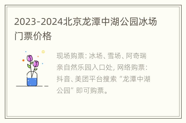 2023-2024北京龙潭中湖公园冰场门票价格