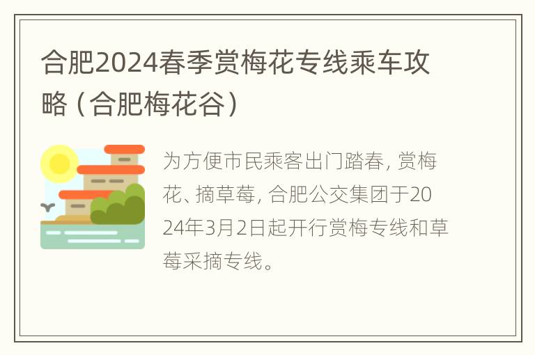 合肥2024春季赏梅花专线乘车攻略（合肥梅花谷）