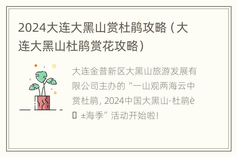 2024大连大黑山赏杜鹃攻略（大连大黑山杜鹃赏花攻略）