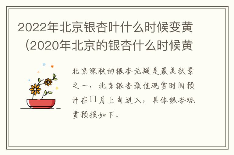 2022年北京银杏叶什么时候变黄（2020年北京的银杏什么时候黄）