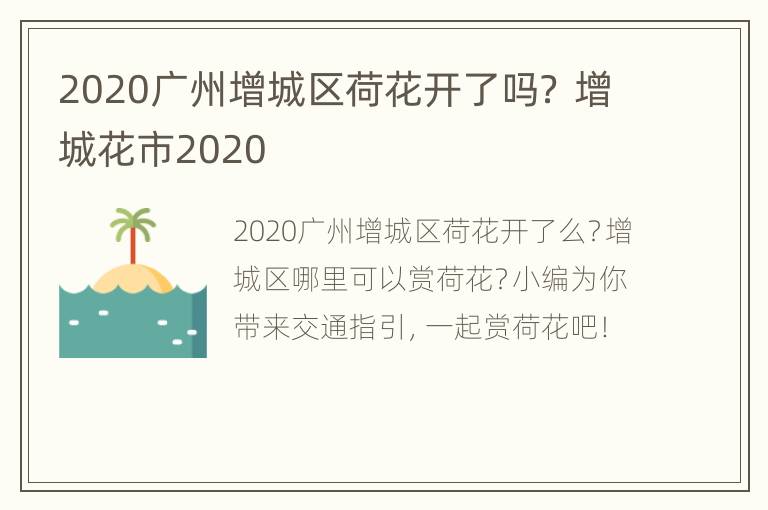 2020广州增城区荷花开了吗？ 增城花市2020