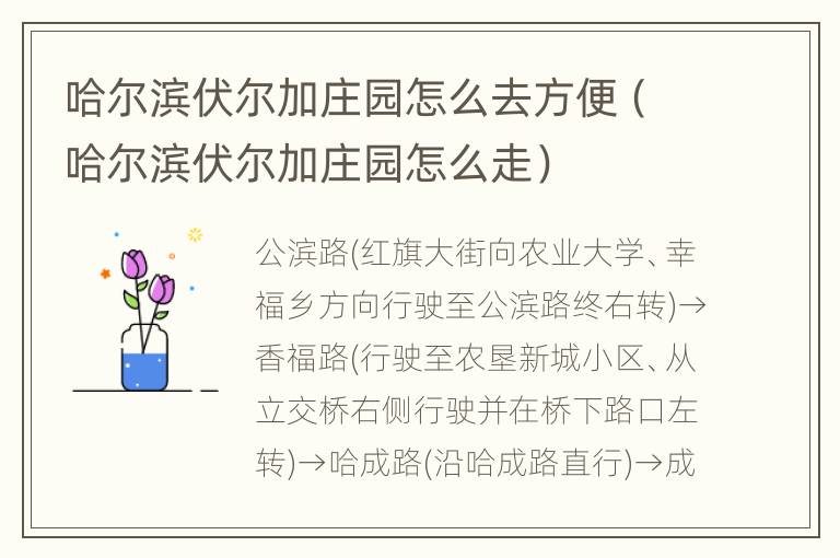 哈尔滨伏尔加庄园怎么去方便（哈尔滨伏尔加庄园怎么走）