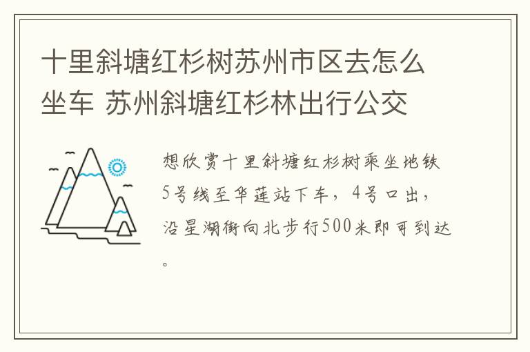 十里斜塘红杉树苏州市区去怎么坐车 苏州斜塘红杉林出行公交