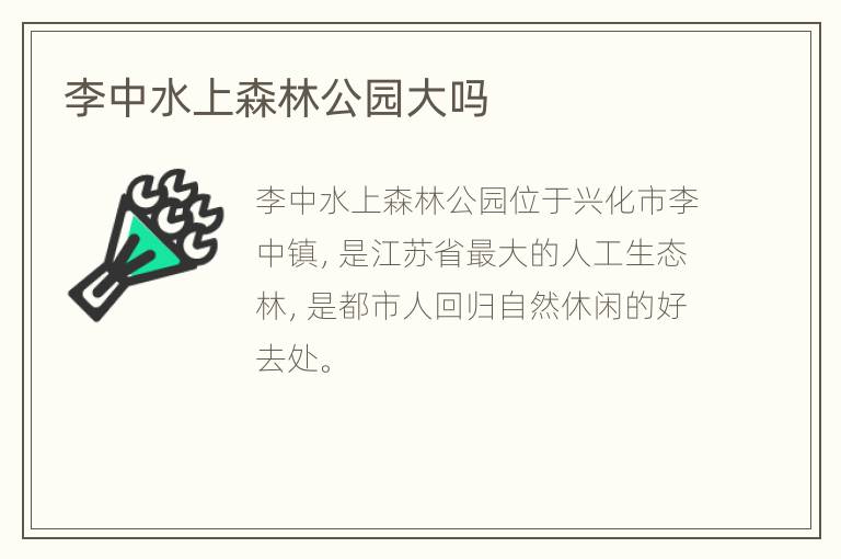 李中水上森林公园大吗