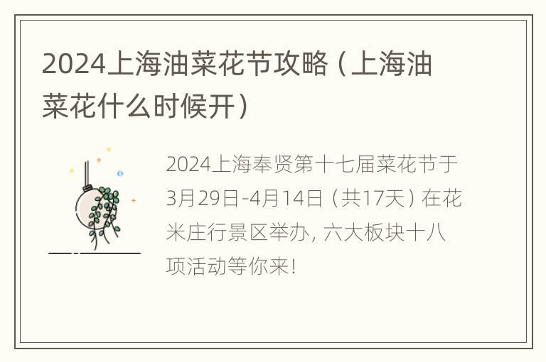 2024上海油菜花节攻略（上海油菜花什么时候开）