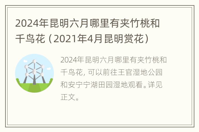 2024年昆明六月哪里有夹竹桃和千鸟花（2021年4月昆明赏花）