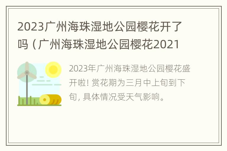 2023广州海珠湿地公园樱花开了吗（广州海珠湿地公园樱花2021）