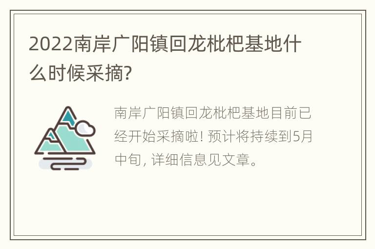 2022南岸广阳镇回龙枇杷基地什么时候采摘？