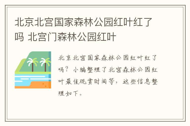 北京北宫国家森林公园红叶红了吗 北宫门森林公园红叶