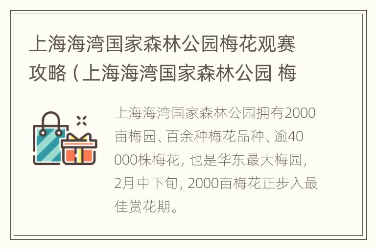 上海海湾国家森林公园梅花观赛攻略（上海海湾国家森林公园 梅花节）