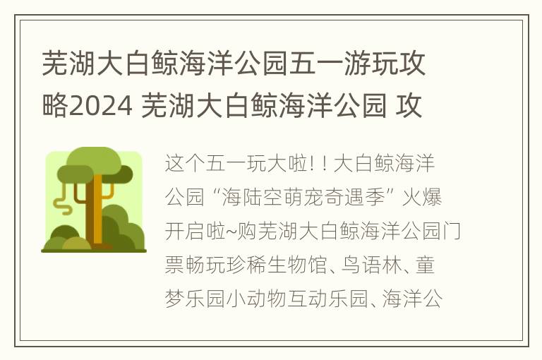 芜湖大白鲸海洋公园五一游玩攻略2024 芜湖大白鲸海洋公园 攻略