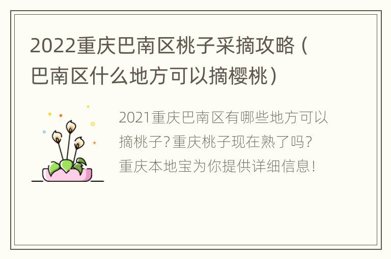 2022重庆巴南区桃子采摘攻略（巴南区什么地方可以摘樱桃）