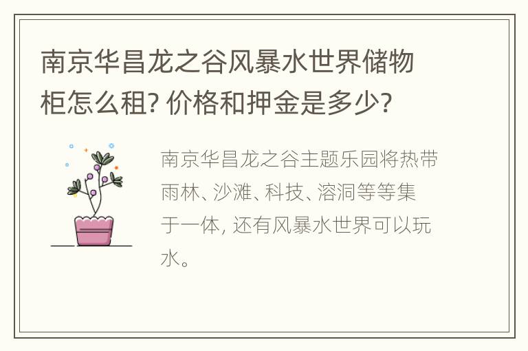 南京华昌龙之谷风暴水世界储物柜怎么租? 价格和押金是多少?