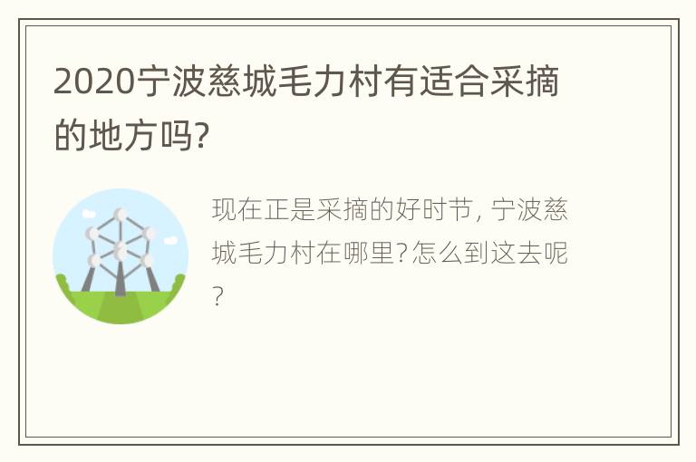 2020宁波慈城毛力村有适合采摘的地方吗？