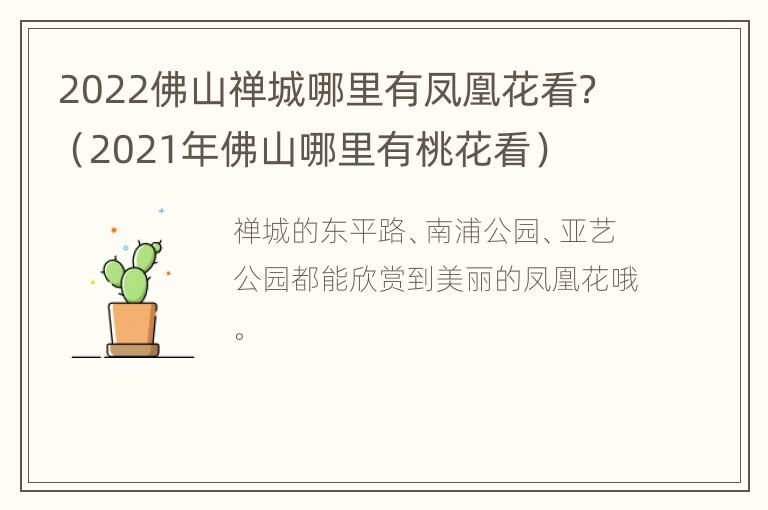 2022佛山禅城哪里有凤凰花看？（2021年佛山哪里有桃花看）