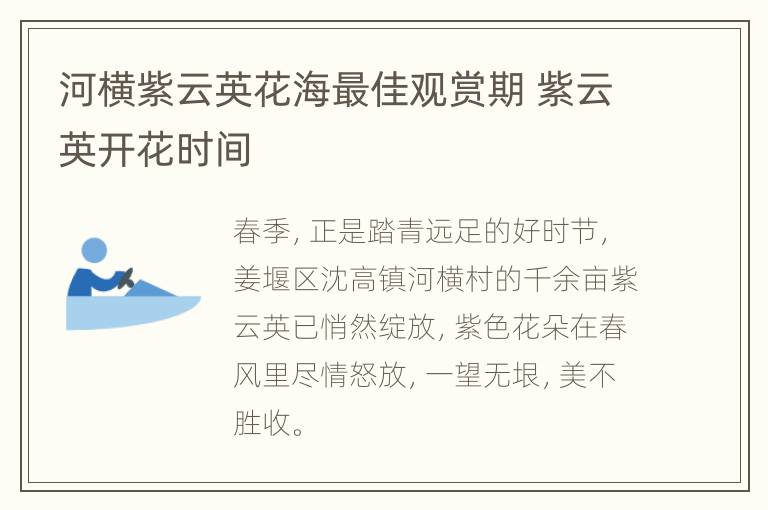 河横紫云英花海最佳观赏期 紫云英开花时间