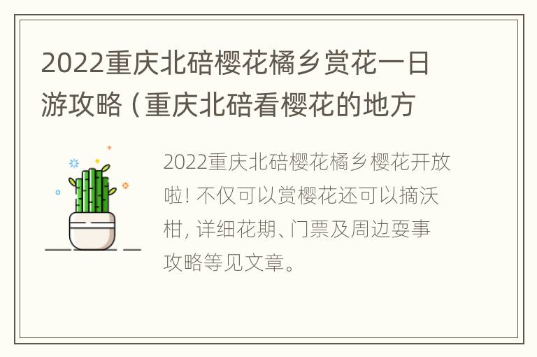 2022重庆北碚樱花橘乡赏花一日游攻略（重庆北碚看樱花的地方）