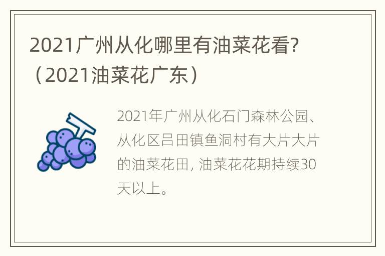 2021广州从化哪里有油菜花看？（2021油菜花广东）