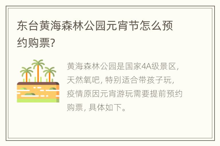 东台黄海森林公园元宵节怎么预约购票？