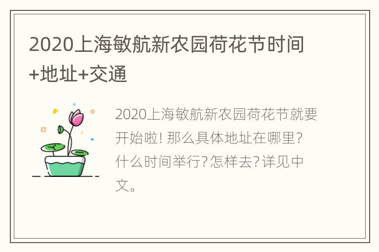 2020上海敏航新农园荷花节时间+地址+交通