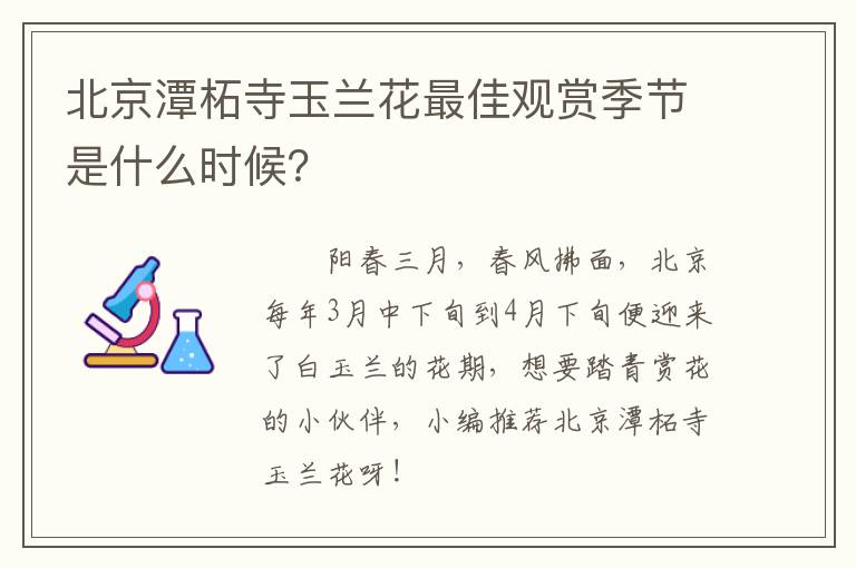 北京潭柘寺玉兰花最佳观赏季节是什么时候？