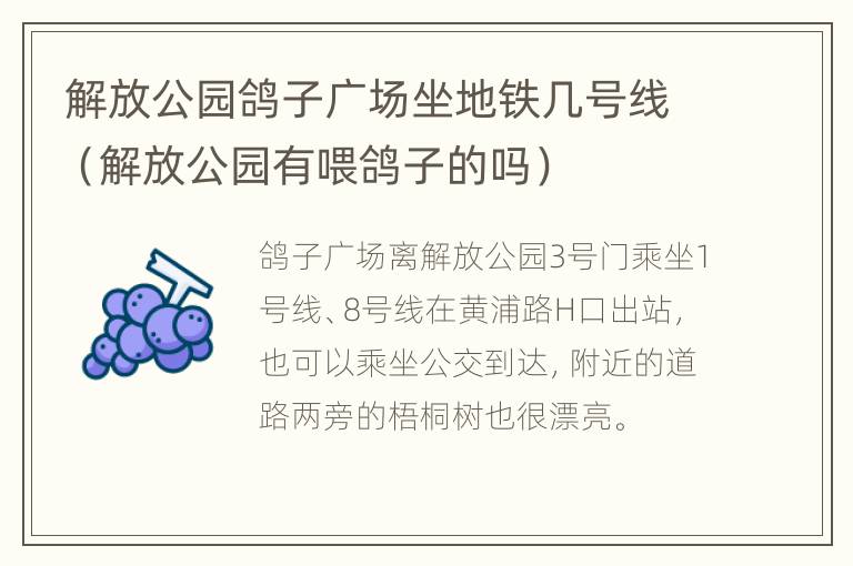 解放公园鸽子广场坐地铁几号线（解放公园有喂鸽子的吗）