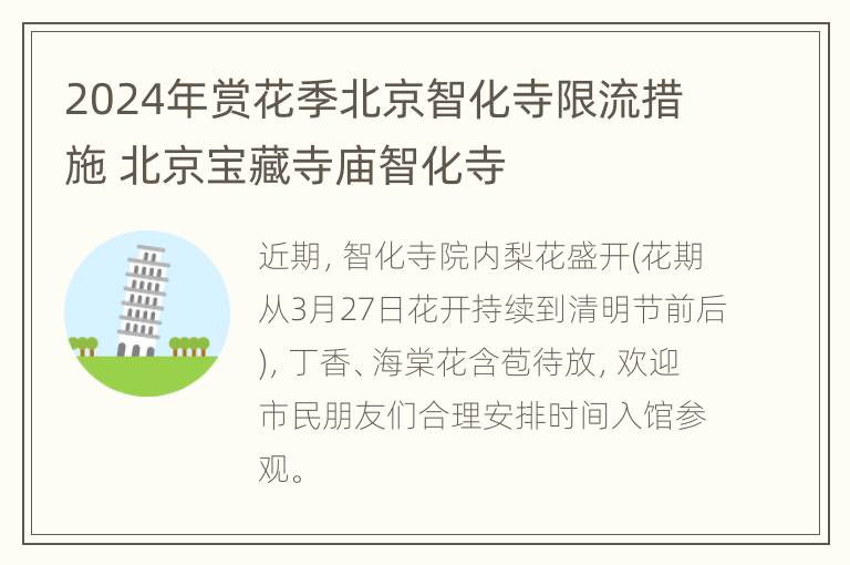 2024年赏花季北京智化寺限流措施 北京宝藏寺庙智化寺