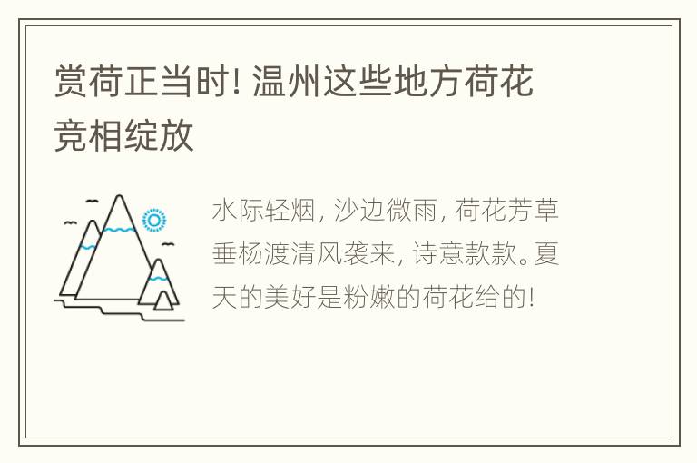 赏荷正当时！温州这些地方荷花竞相绽放