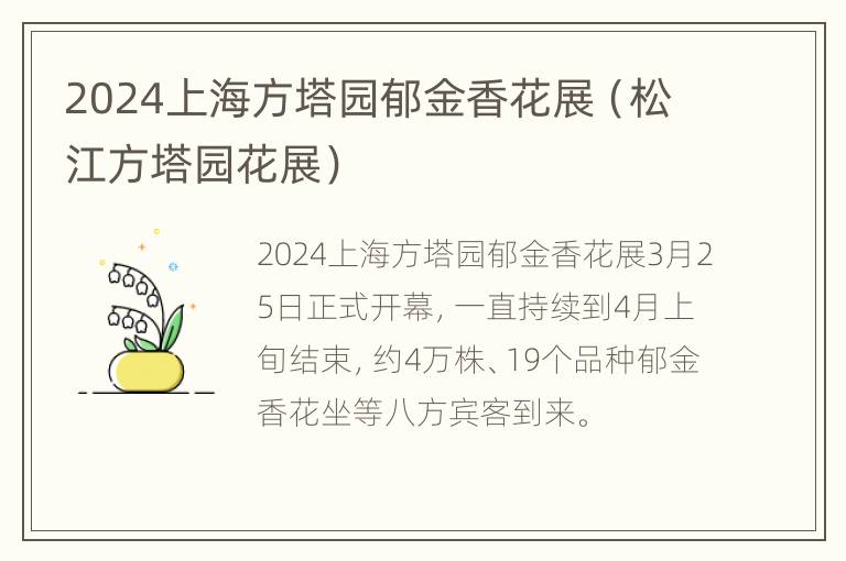 2024上海方塔园郁金香花展（松江方塔园花展）