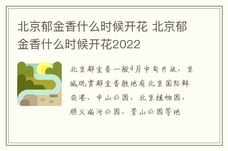 北京郁金香什么时候开花 北京郁金香什么时候开花2022