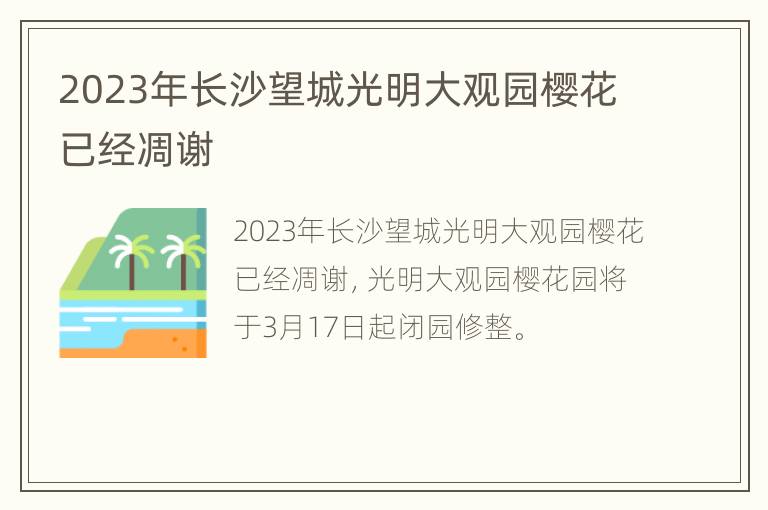 2023年长沙望城光明大观园樱花已经凋谢