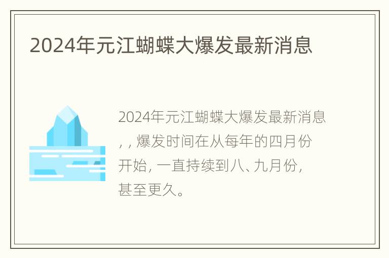 2024年元江蝴蝶大爆发最新消息