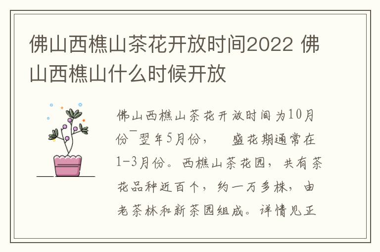 佛山西樵山茶花开放时间2022 佛山西樵山什么时候开放