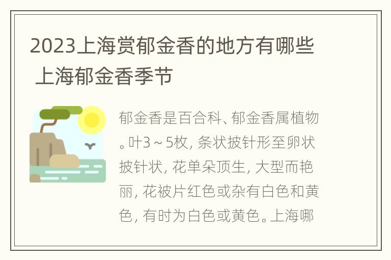 2023上海赏郁金香的地方有哪些 上海郁金香季节